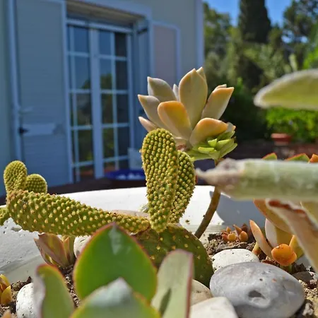 Elegant Zakynthos Villa Kalamákion