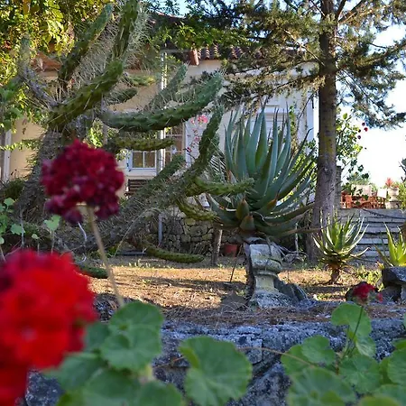 Villa Elegant Zakynthos *