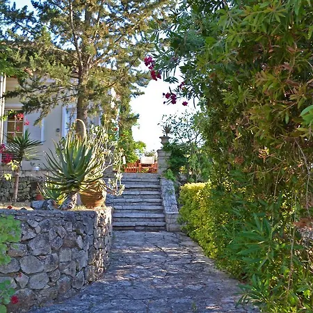 Elegant Zakynthos *